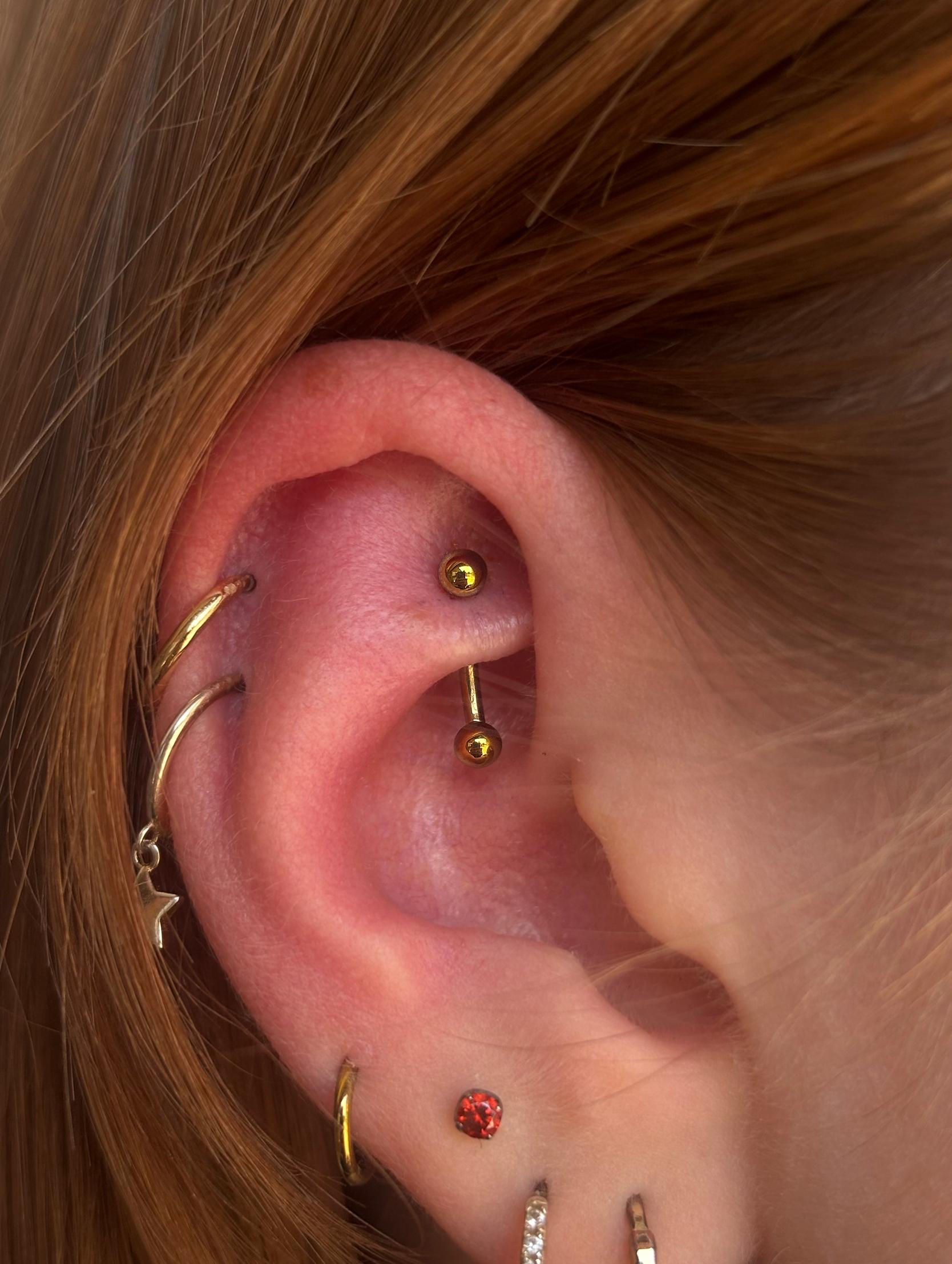Rook