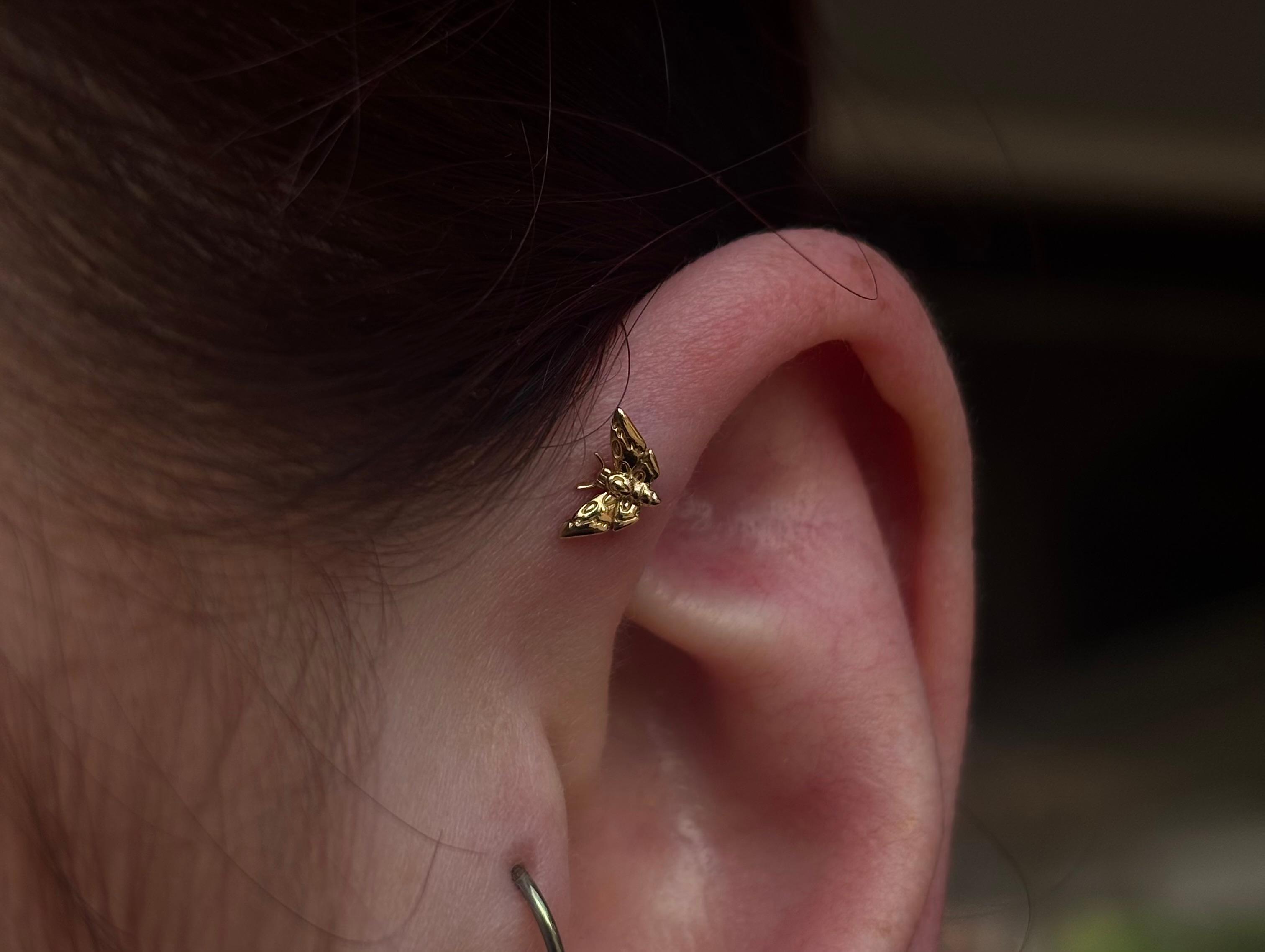 Forward Helix