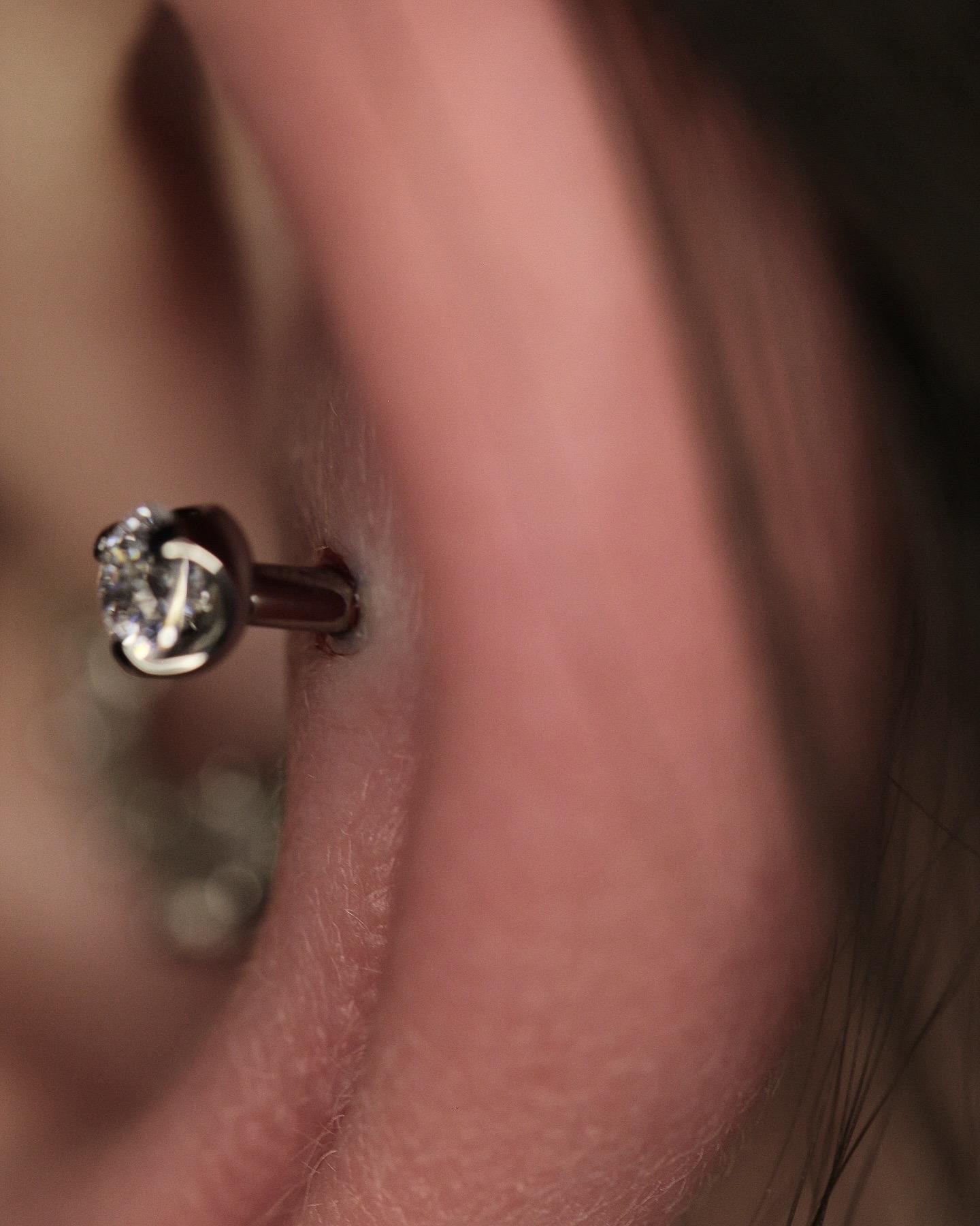 Downsize Appointment