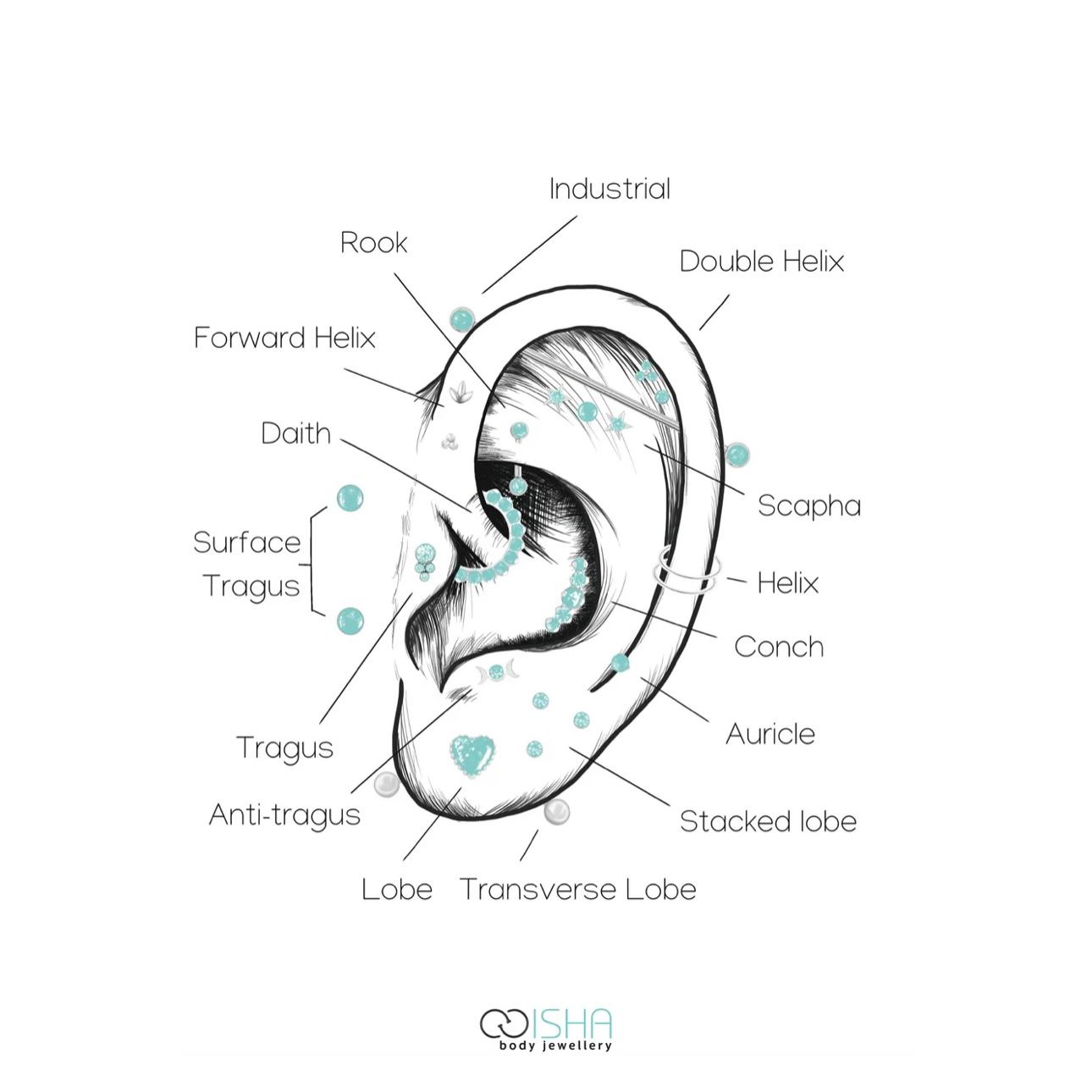 Piercers Choice/Not Sure (16 years+)