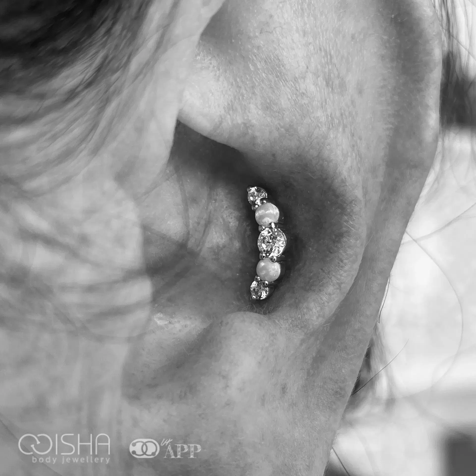 Apprentice Conch Piercing (18 years+)