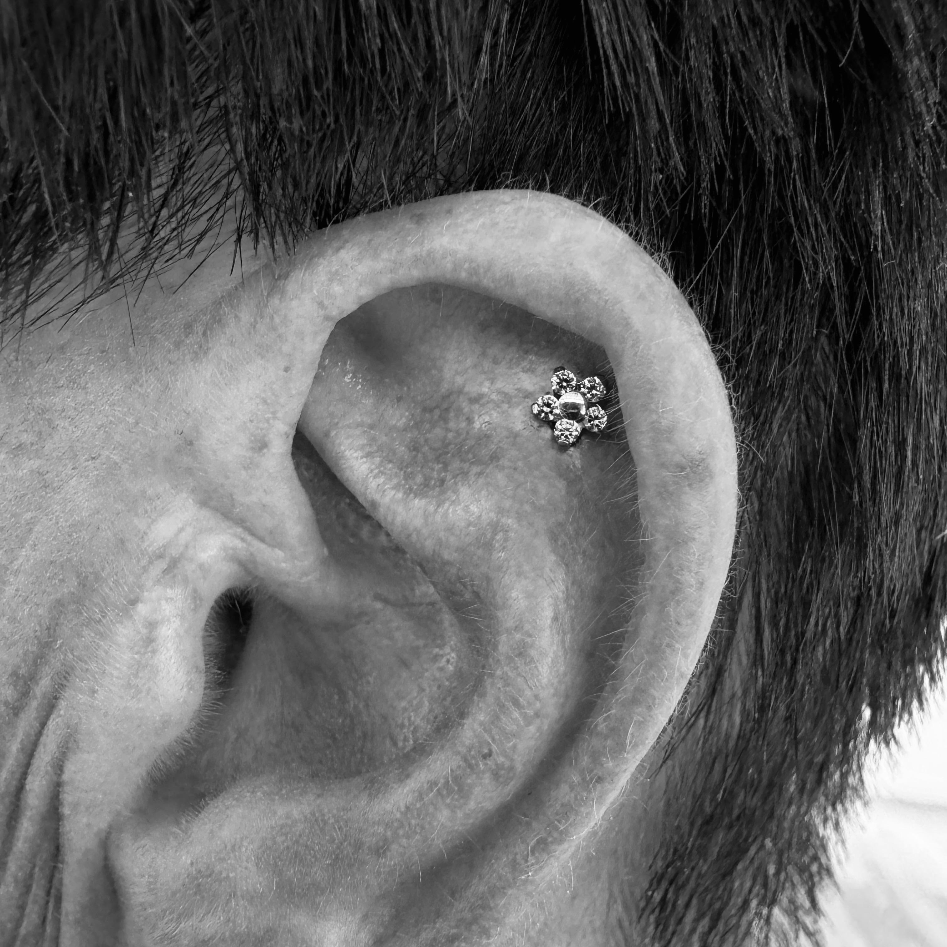 Apprentice Outer Helix Piercing (18 years+)