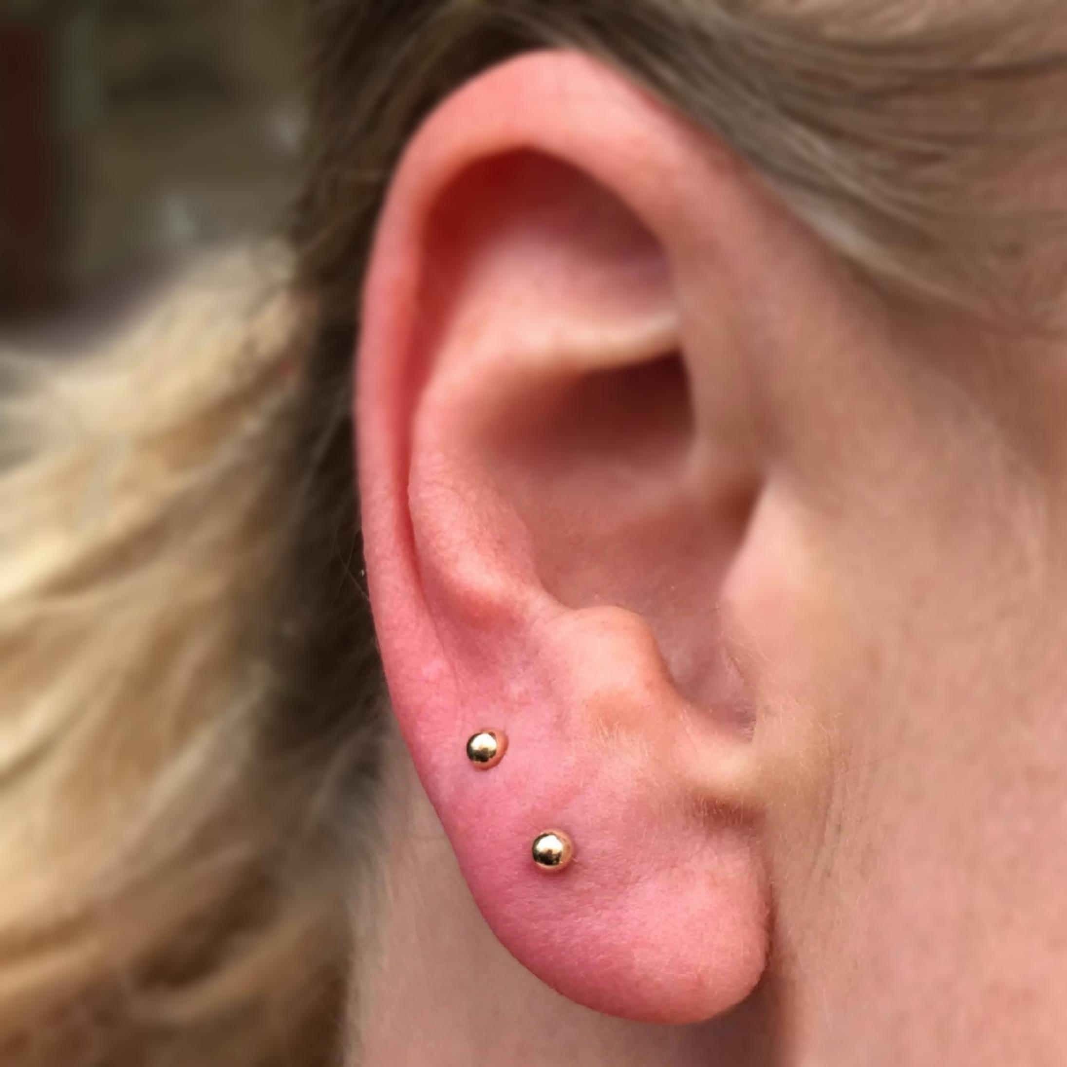 Apprentice Earlobe | Paired