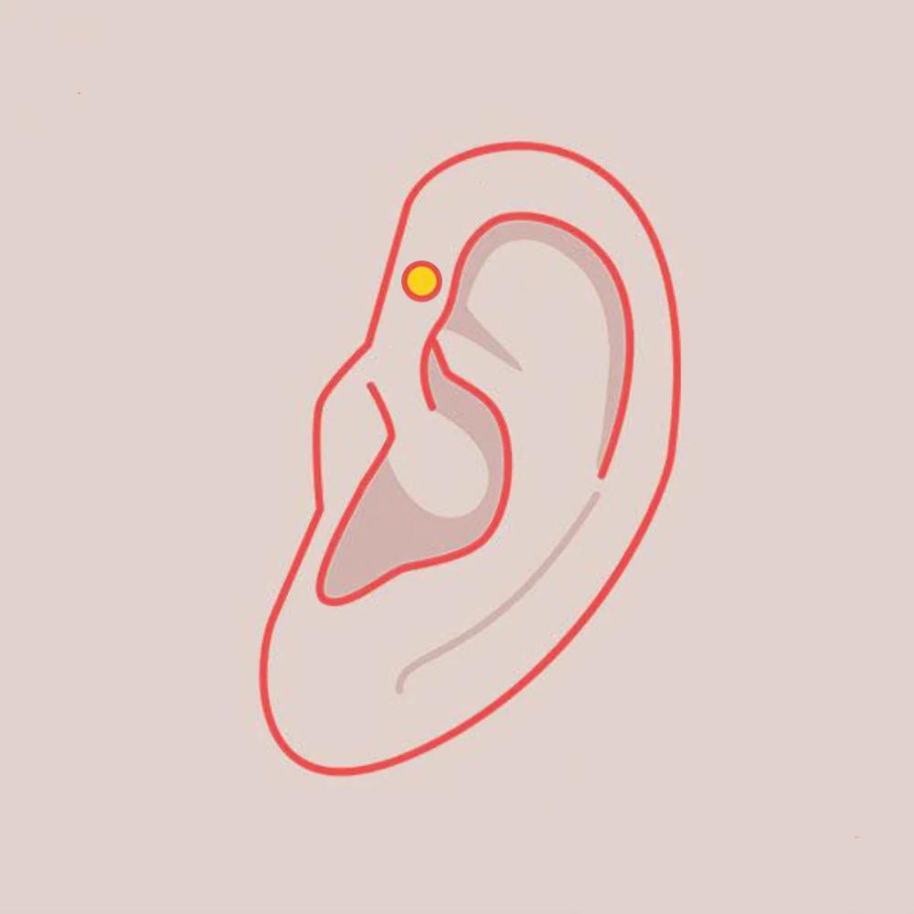 Forward Helix Piercing