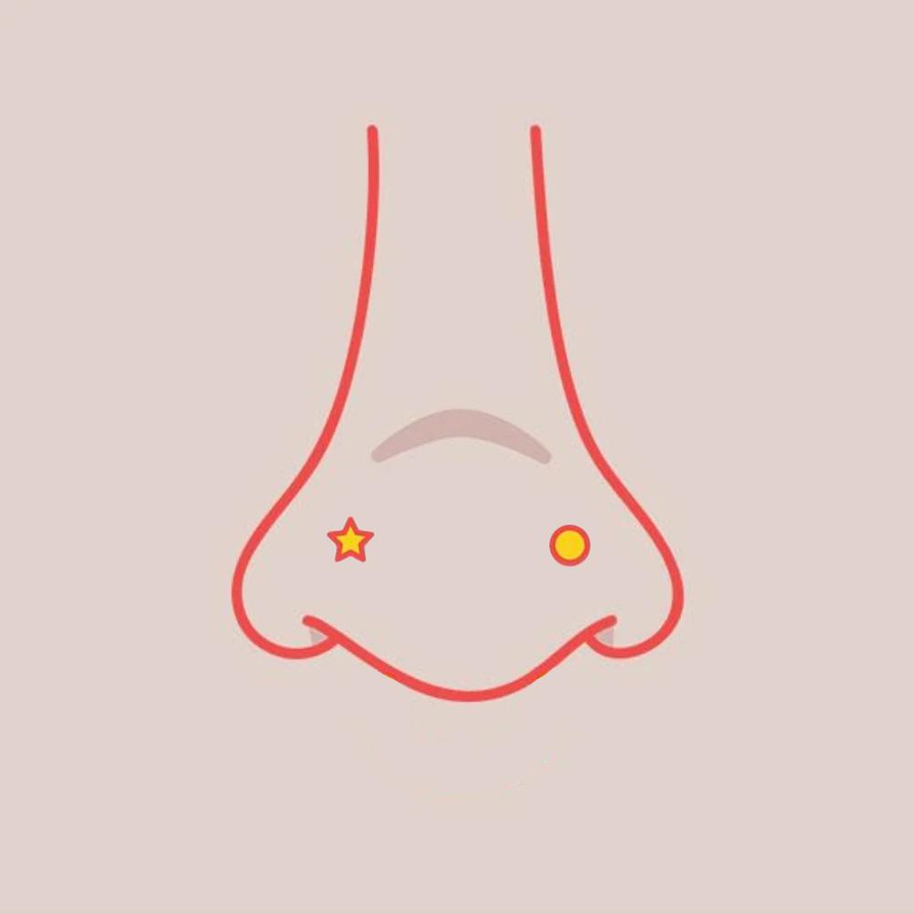 2 Nostril Piercings