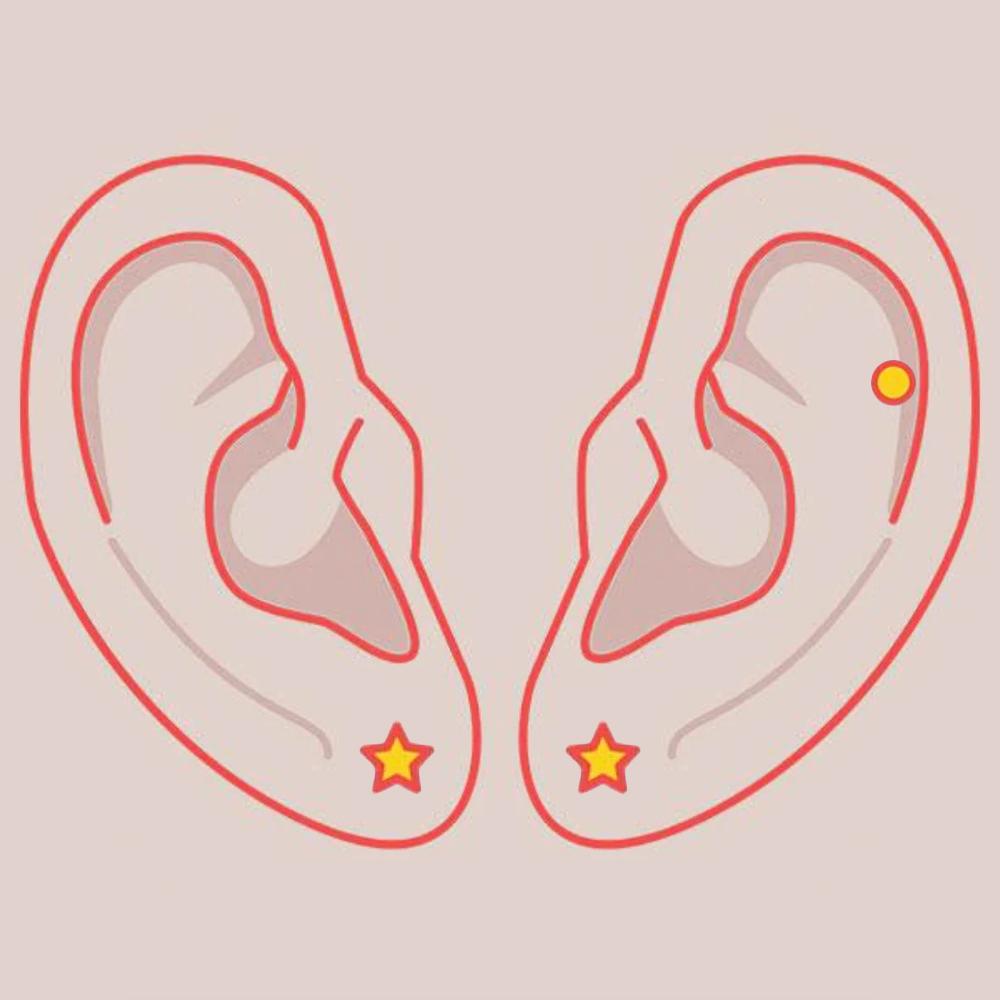 Combo: Pair of Lobes + Cartilage Piercing