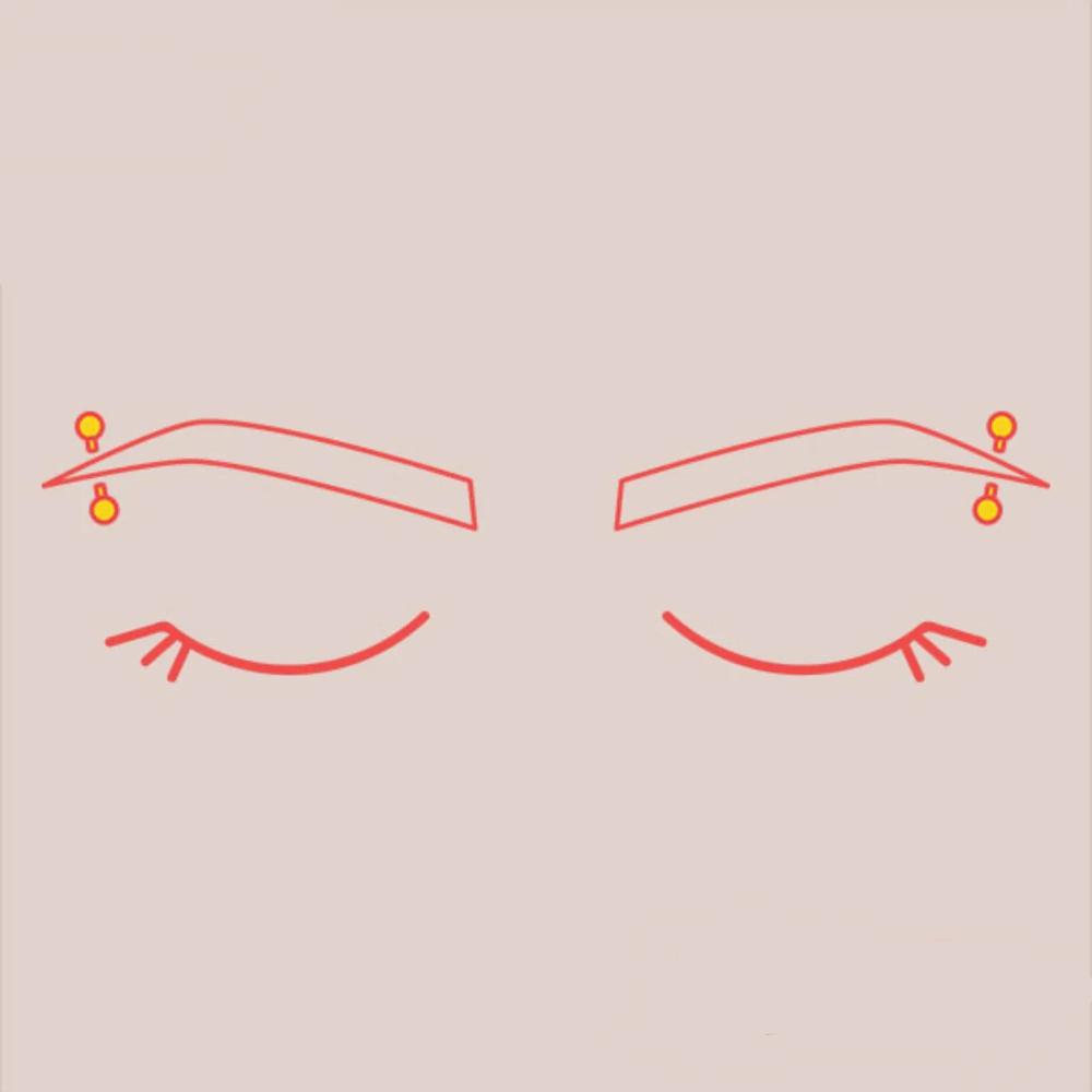 2 Eyebrow Piercings