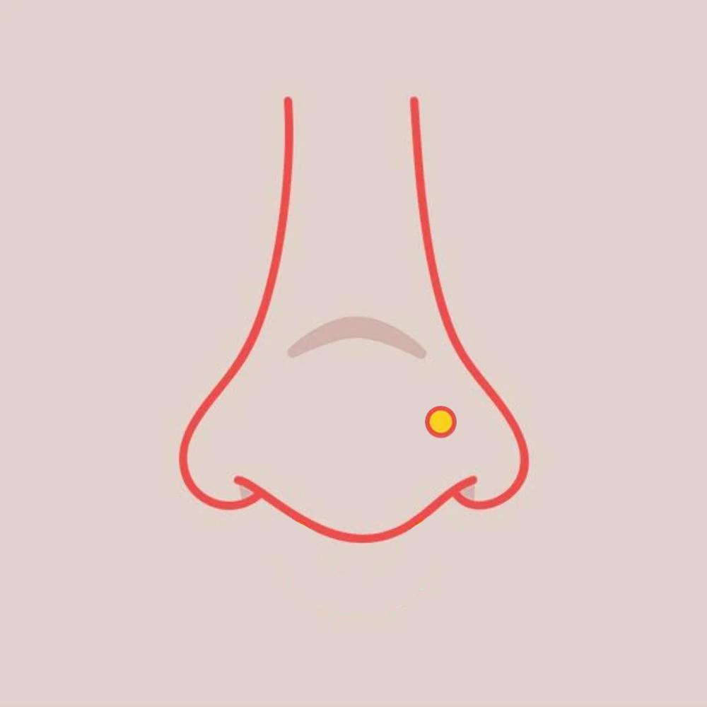Nostril Piercing