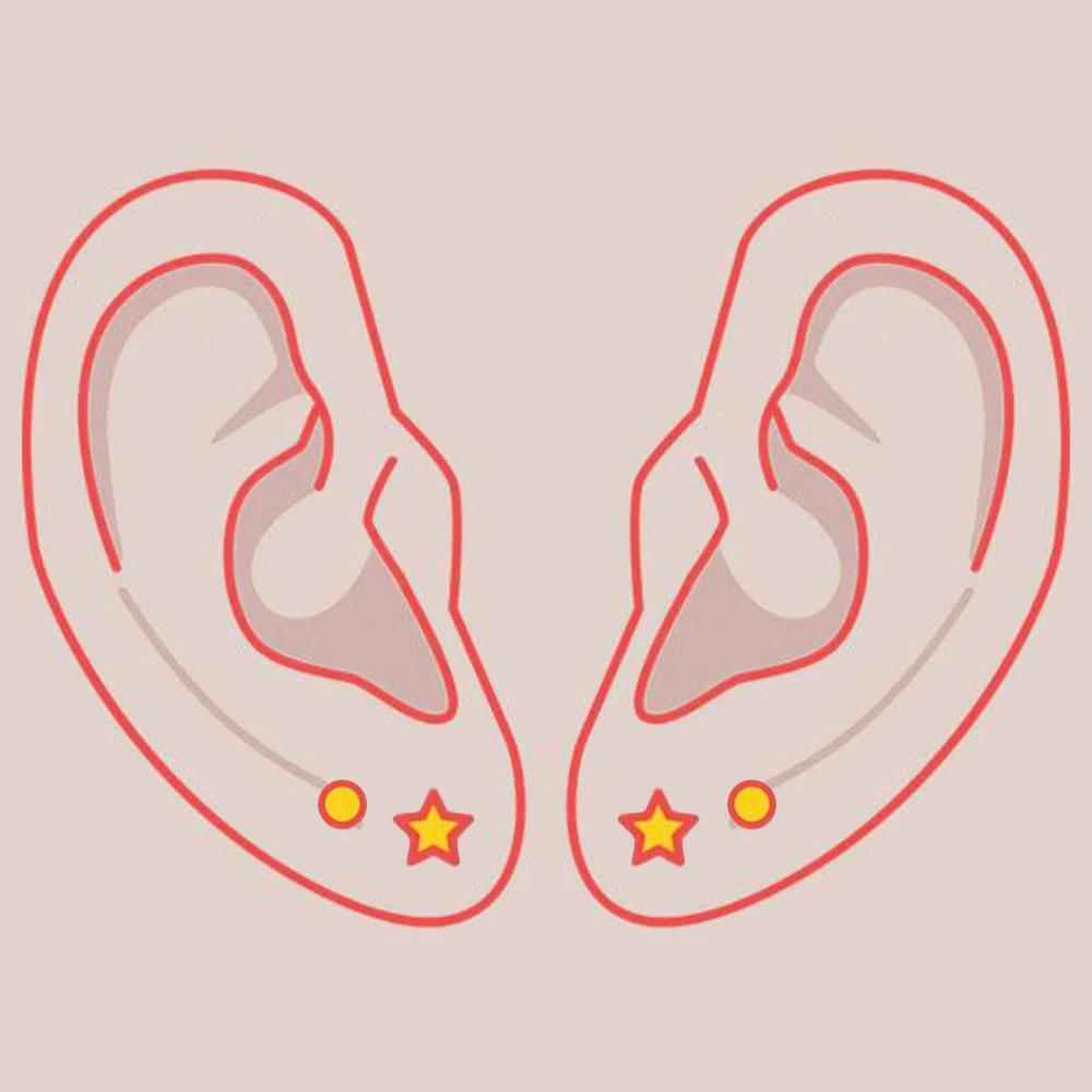 2 Pairs of Lobe Piercings