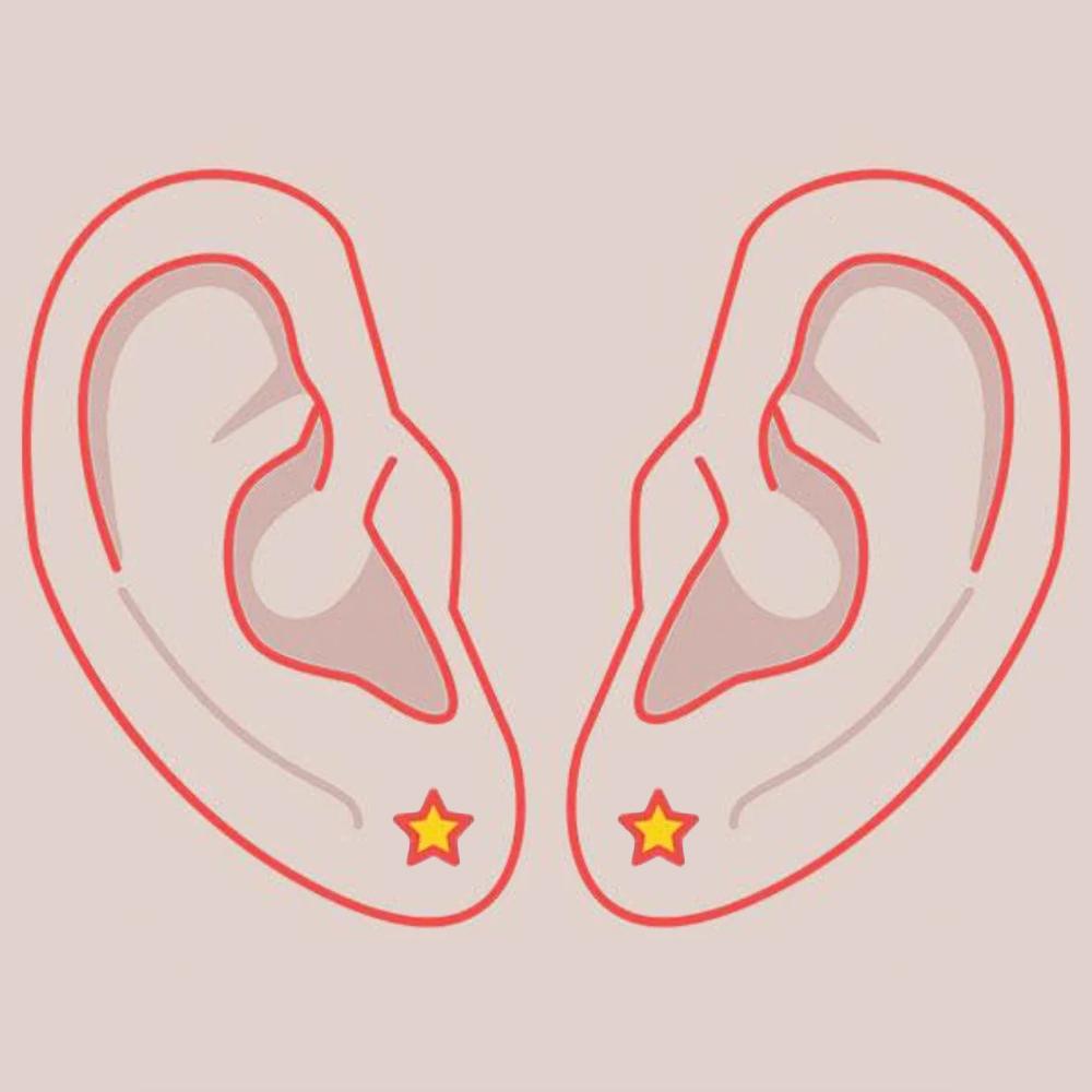 Pair of Lobe Piercings