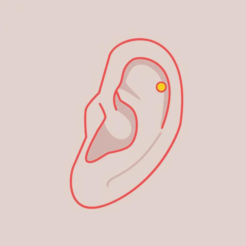 Helix (Cartilage) Piercing